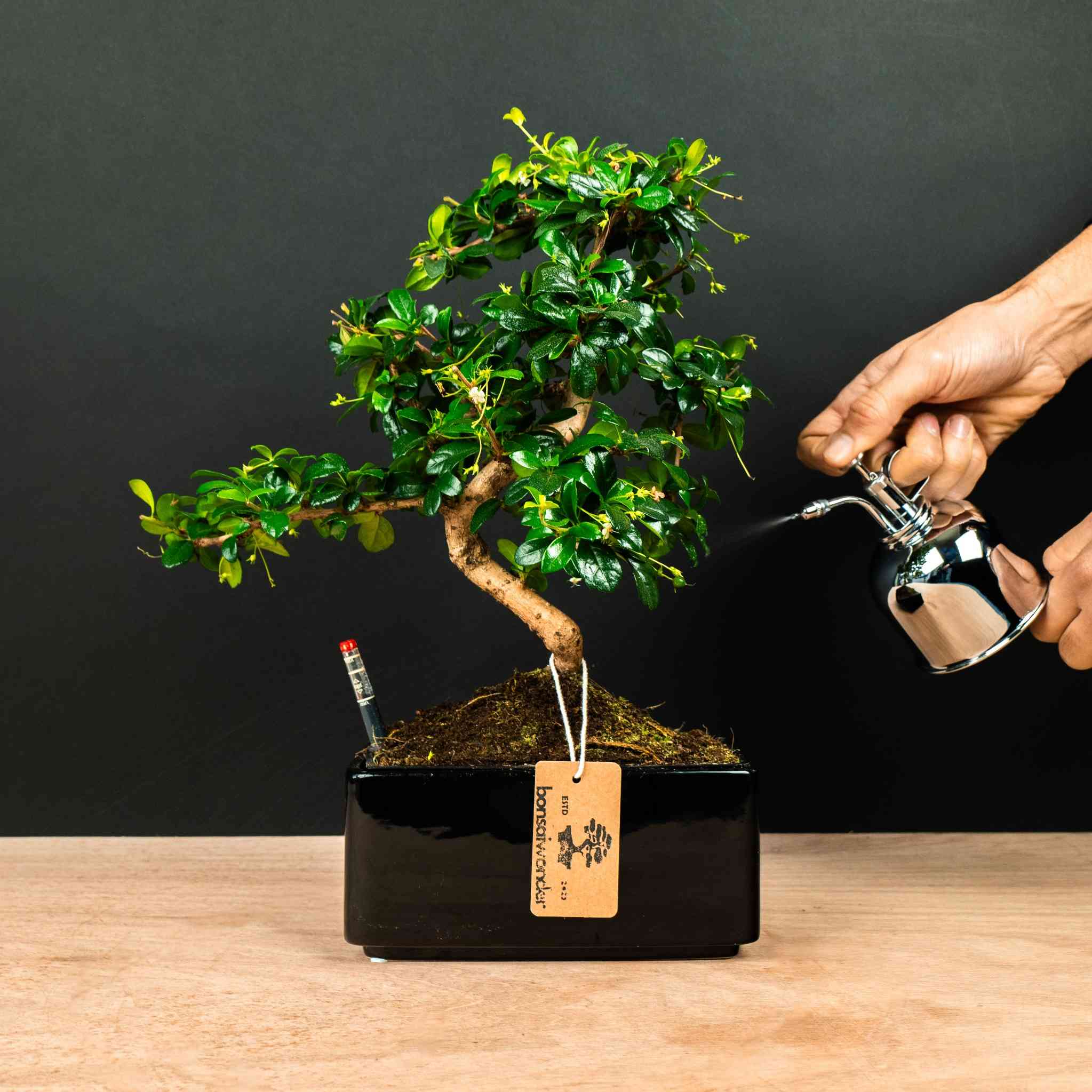 lampe aus bambus Hängelampe Blume Flora aus Bambus, naturfarben