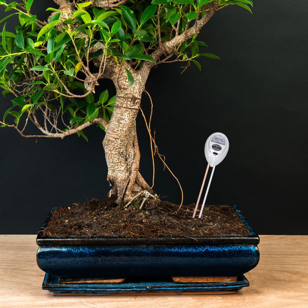 3-in-1 soil meter