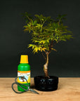 Acer Starterset