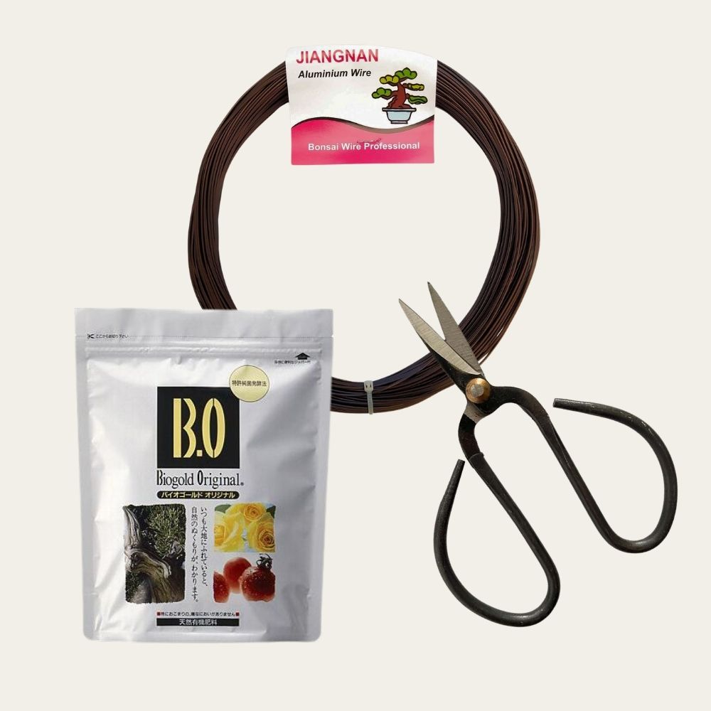 Kit de îngrijire pentru bonsai