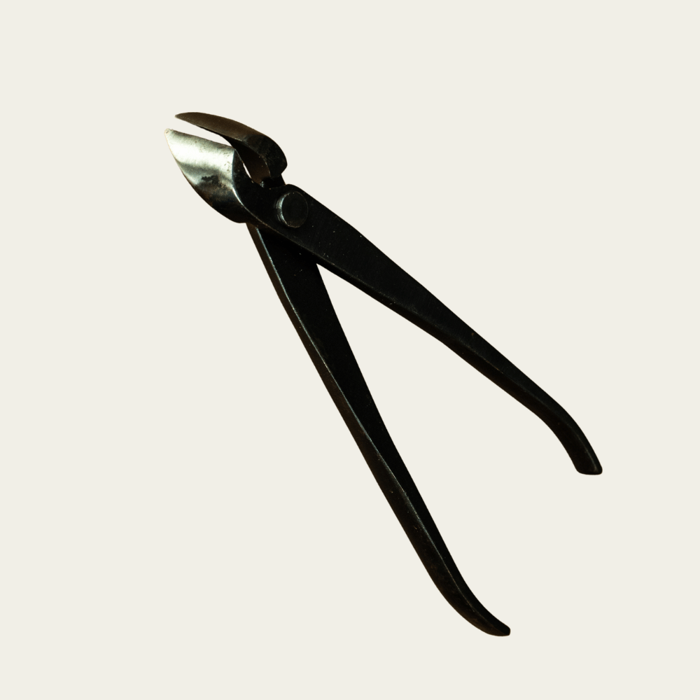 bonsai concave cutter