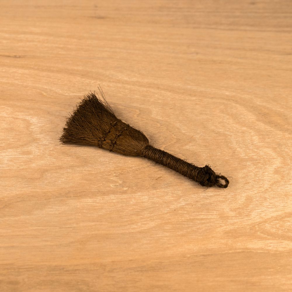 Set de pornire Ficus