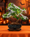 Carmona katachi (Edição de Halloween)